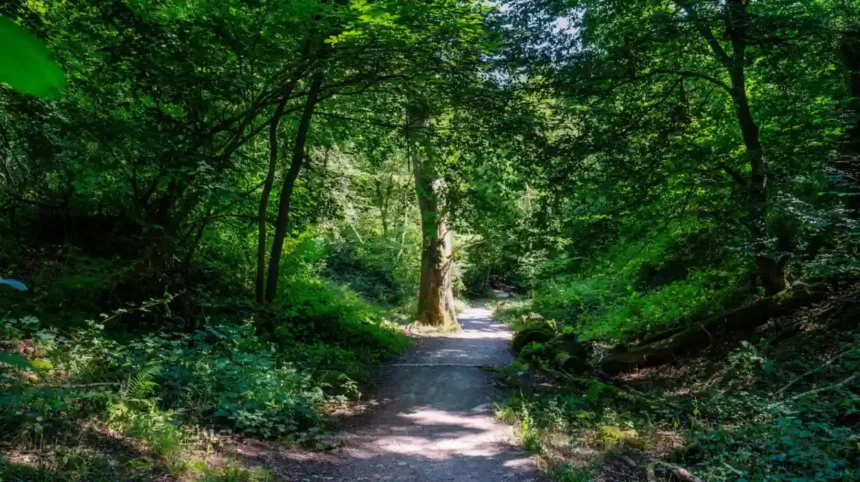Best Hiking Routes Near Bristol_ Top Trails and Walks
