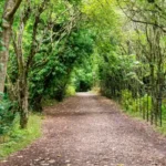 Best Parks in Bristol_ Top Green Spaces for Families and Walks