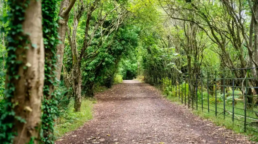 Best Parks in Bristol_ Top Green Spaces for Families and Walks