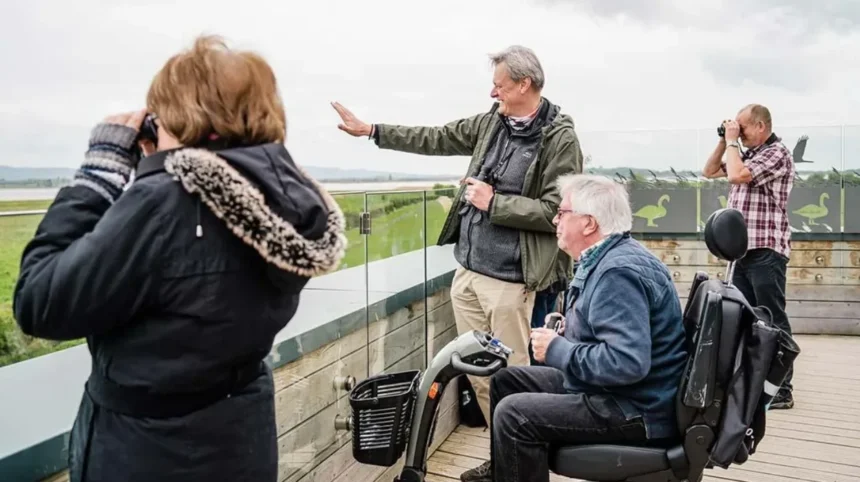 Best Places for Birdwatching Near Bristol_ Top Wildlife Sites