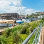 Best Running Routes in Bristol_ Parks, Harbourside and Trails