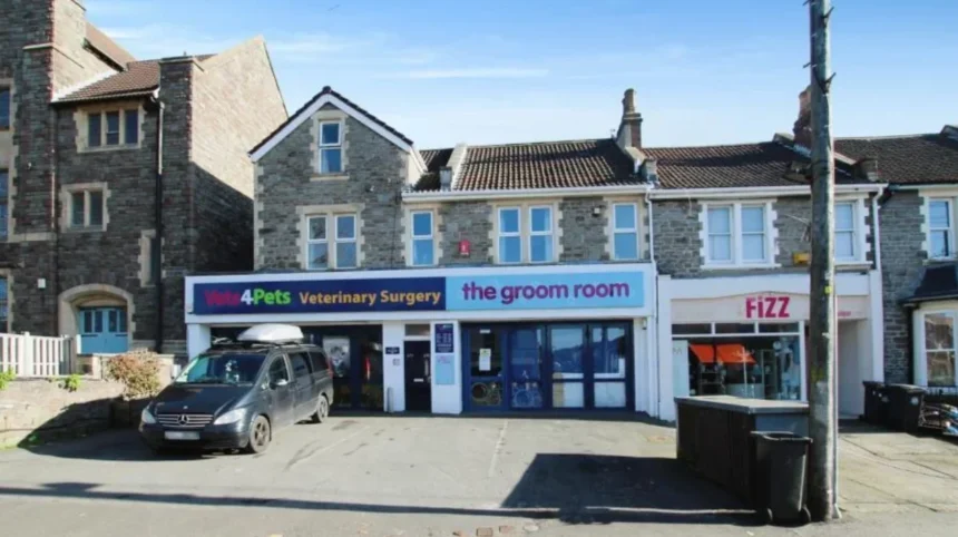 Best Vets in Bristol _ Top Veterinary Practices