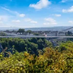 Best Woodland Walks Near Bristol_ Leigh Woods and Beyond