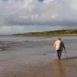 Dog-Friendly Beaches Near Bristol _ Coastal Walks Guide