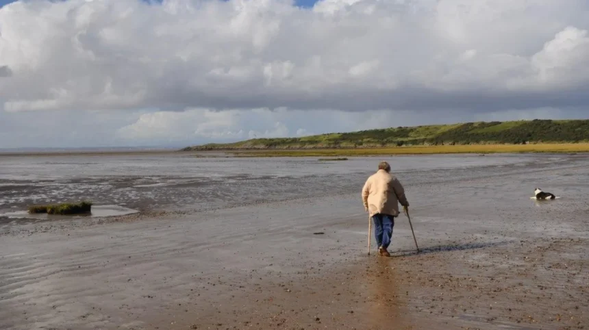Dog-Friendly Beaches Near Bristol _ Coastal Walks Guide