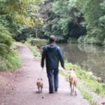 Dog-Friendly Bristol_ Parks, Walks, Pubs and Places to Visit