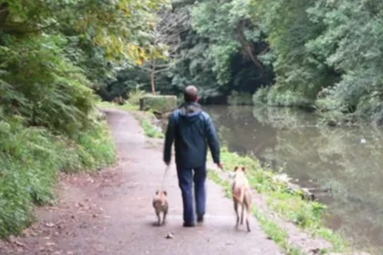 Dog-Friendly Bristol_ Parks, Walks, Pubs and Places to Visit