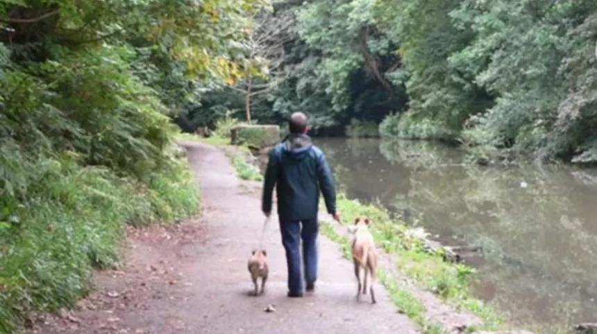Dog-Friendly Bristol_ Parks, Walks, Pubs and Places to Visit