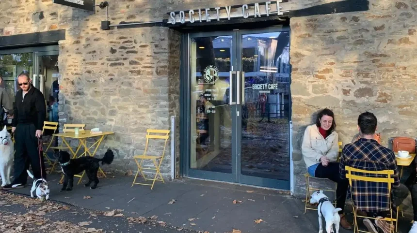 Dog-Friendly Cafés in Bristol_ Best Places to Visit