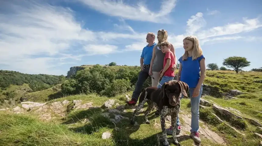 Dog-Friendly Day Trips From Bristol_ Best Places to Visit