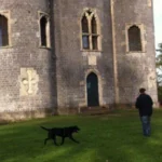 Dog-Friendly Parks in Bristol_ Best Places for Dog Walks