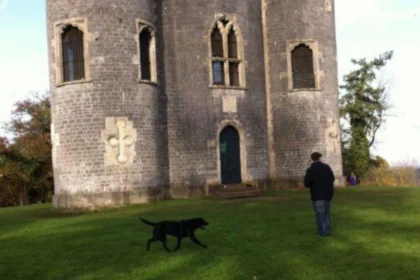 Dog-Friendly Parks in Bristol_ Best Places for Dog Walks