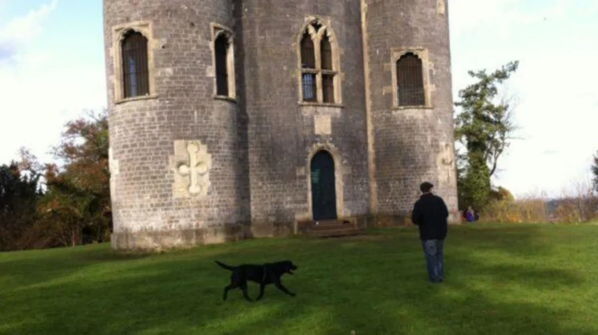 Dog-Friendly Parks in Bristol_ Best Places for Dog Walks