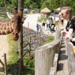 Family Days Out in Bristol: Best Attractions for All Ages