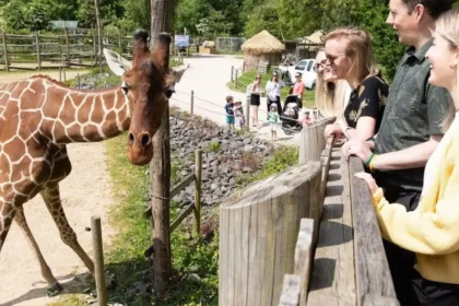 Family Days Out in Bristol: Best Attractions for All Ages
