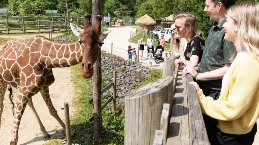 Family Days Out in Bristol: Best Attractions for All Ages