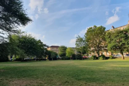 Historic Copper Beech Tree Set to Be Felled in Bristol 2026
