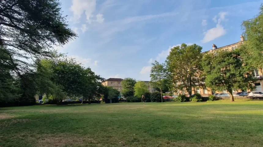 Historic Copper Beech Tree Set to Be Felled in Bristol 2026
