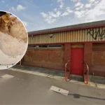 New Cantonese Takeaway Ah-Ma’s Dumplings Launches in St Werburghs Bristol 2026
