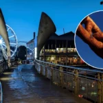 Why Did Pero’s Bridge Fail Inspection Report Reveals Corrosion, Bristol 2026